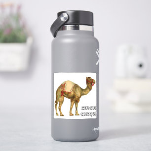 Vintage circus performing camel