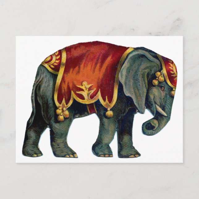 Vintage circus performing elephant circus  , poste postcard (Front)