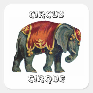 Vintage circus performing elephant circus  , poste square sticker