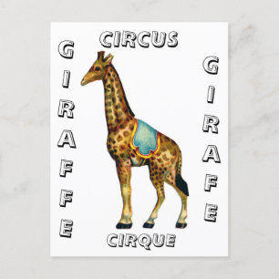 Vintage circus performing giraffe postcard