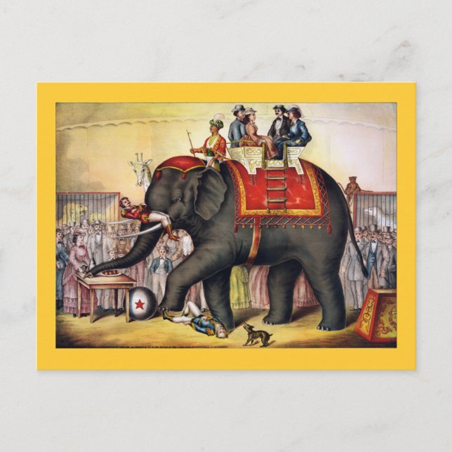 Vintage Circus Poster Art - Performing elephant Postcard (Front)