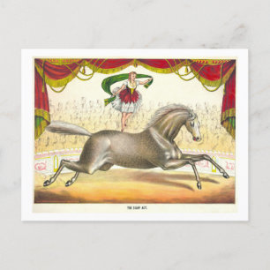 Vintage Circus Poster for Horse Act with Scarves Postcard