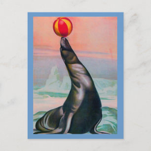 Vintage Circus Seal with Ball Postcard