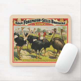 Vintage Circus Showing Ostriches And Large Birds. Mouse Mat