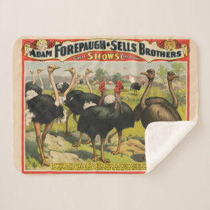 Vintage Circus Showing Ostriches And Large Birds. Sherpa Blanket