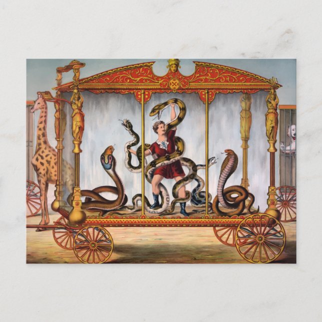 Vintage Circus Snake Handler Postcard (Front)