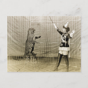 Vintage Circus Trainer Postcard