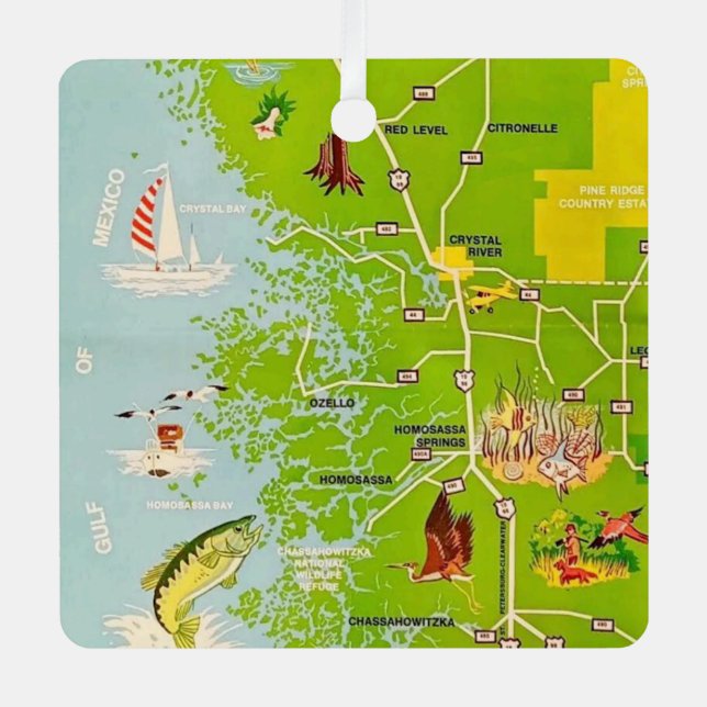 Vintage Citrus County Florida Map Ornament (Front)