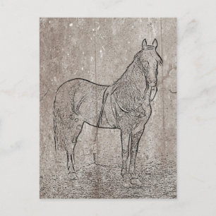 Vintage Civil War Union Horse Postcard