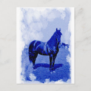Vintage Civil War Union Horse Postcard