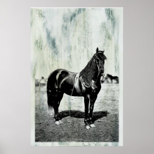 Vintage Civil War Union Horse Poster
