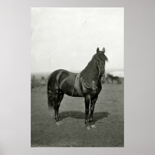 Vintage Civil War Union Horse Poster