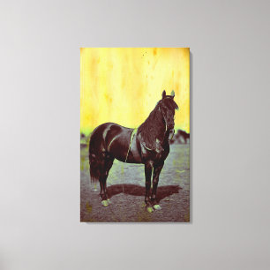 Vintage Civil War Union Horse Wrapped Canvas Print
