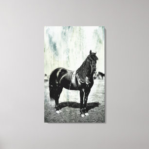 Vintage Civil War Union Horse Wrapped Canvas Print