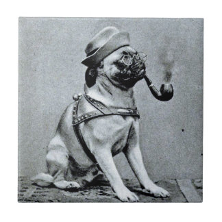 Vintage Classy Pug Photograph Tile