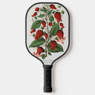 Vintage Clematis Coccinea Red Floral Art Pickleball Paddle