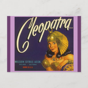 Vintage Cleopatra Produce Crate Labelling Postcard