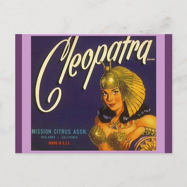 Vintage Cleopatra Produce Crate Labelling Postcard (Front)