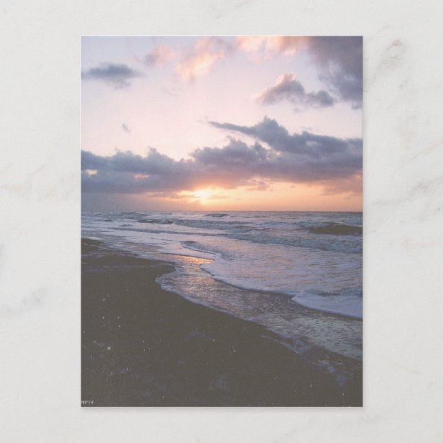 Vintage Coastal South Carolina Postcard (Front)