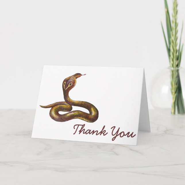 Vintage Cobra Snake Illustration Thank You Card (Front)