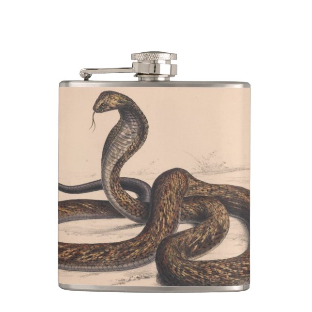 Vintage Cobra Snake Painting Flask (Front)