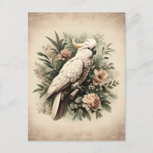 Vintage Cockatoo Botanical Painting Postcard
