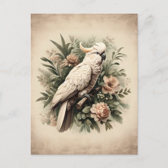 Vintage Cockatoo Botanical Painting Postcard (Front)