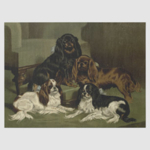 Vintage Cocker Spaniels Tissue Paper
