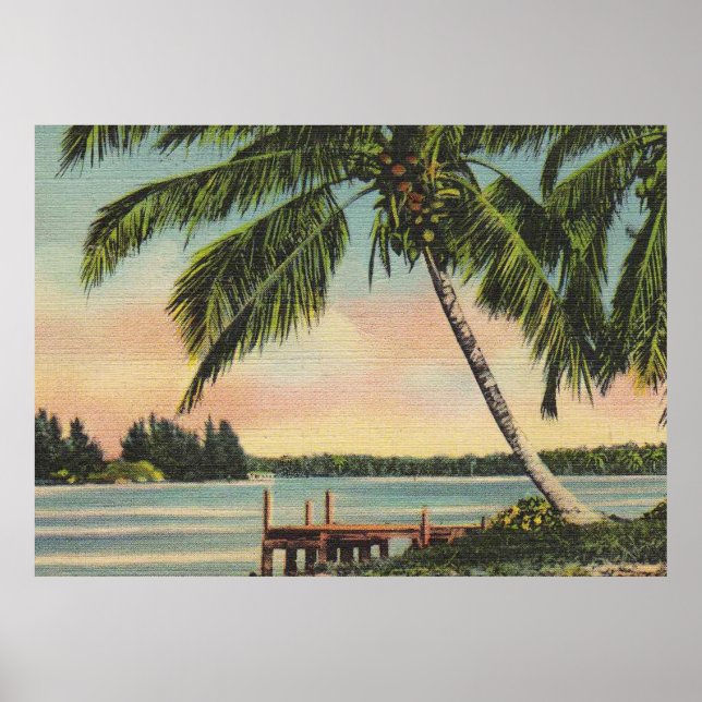 Vintage Coconut Palm Tree Tropical Breeze Sunset Poster (Front)