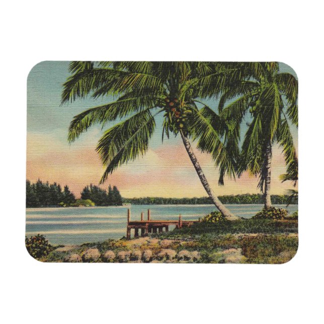 Vintage Coconut Palms Tropical Breeze Sunset Magnet (Horizontal)