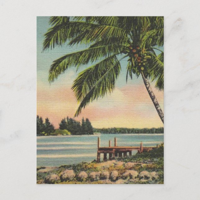 Vintage Coconut Palms Tropical Breeze Sunset Postcard (Front)