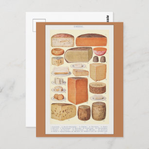 Vintage Collage of Household Cheeses, Beeton, 1923 Postcard