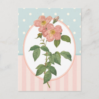 Vintage Collage Pink Roses Botanical Print Postcard