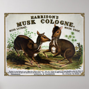 Vintage Cologne Advertisement Poster