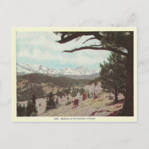 Vintage Colorado Postcard