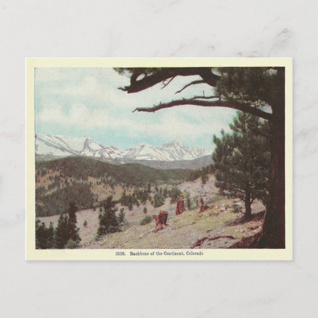 Vintage Colorado Postcard (Front)