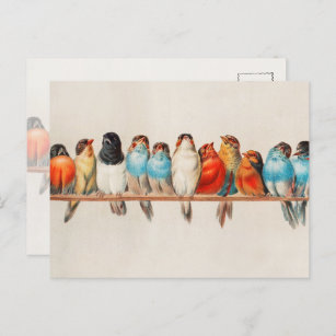 Vintage Colourful Birds Watercolor Nature Wildlife Postcard