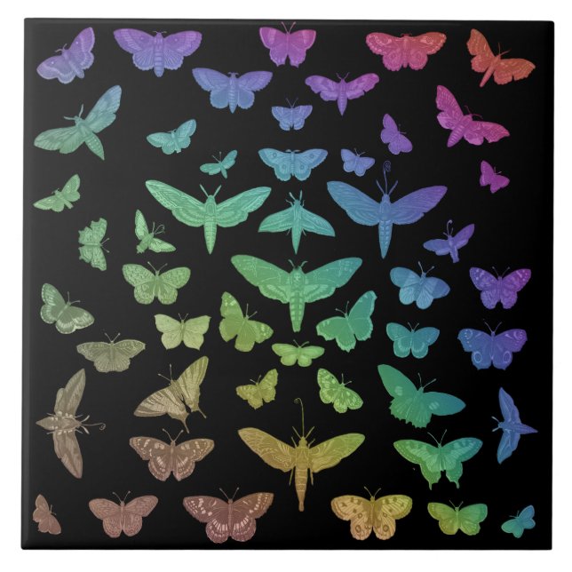 Vintage colourful butterflies moths insects  tile (Front)