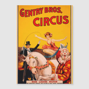 Vintage Colourful Circus Performer Poster
