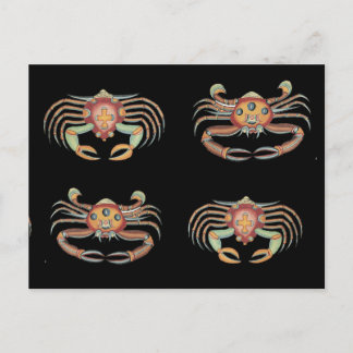 Vintage Colourful Crab Drawing Postcard
