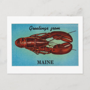 Vintage Colourful Greetings From Maine Lobster Postcard