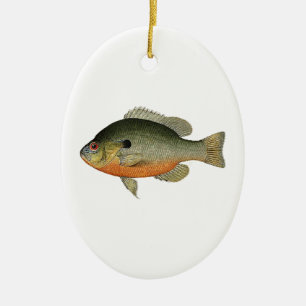 Vintage Colourful Sunfish Illustration Ceramic Tree Decoration