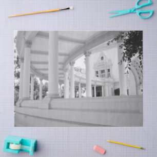 Vintage Columns Architecture Black and White Photo Tissue Paper