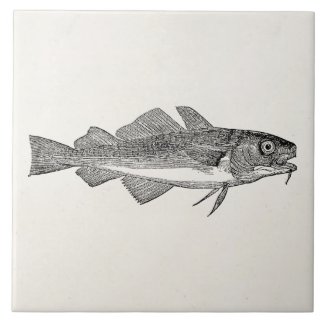 Vintage Common Cod Fish - Aquatic Fishes Template Tile