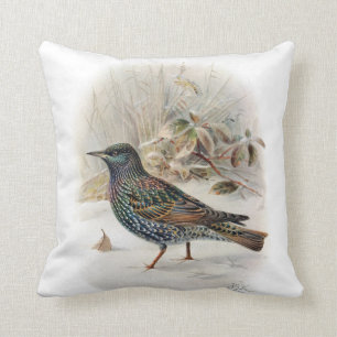 Vintage Common Starling Bird Cushion