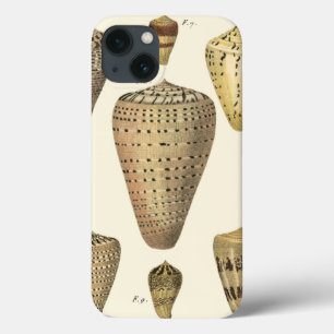Vintage Cone Shells iPhone 13 Case