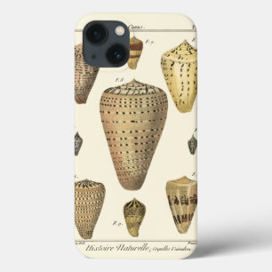 Vintage Cone Shells iPhone 13 Case