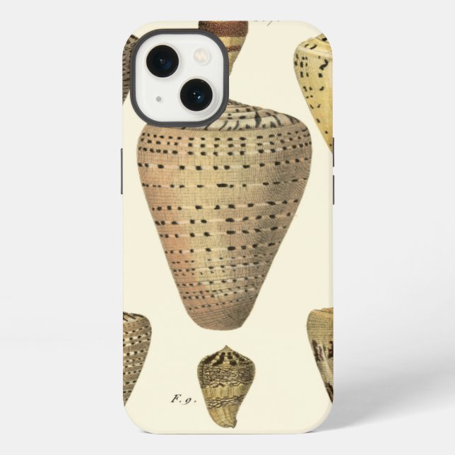 Vintage Cone Shells iPhone Case (Back)