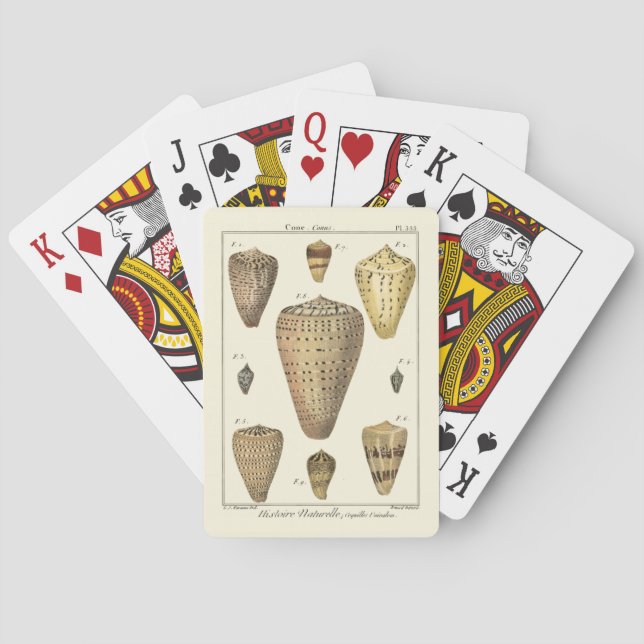 Vintage Cone Shells Playing Cards (Back)
