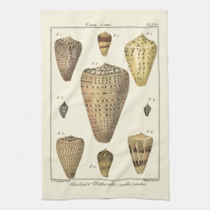 Vintage Cone Shells Tea Towel